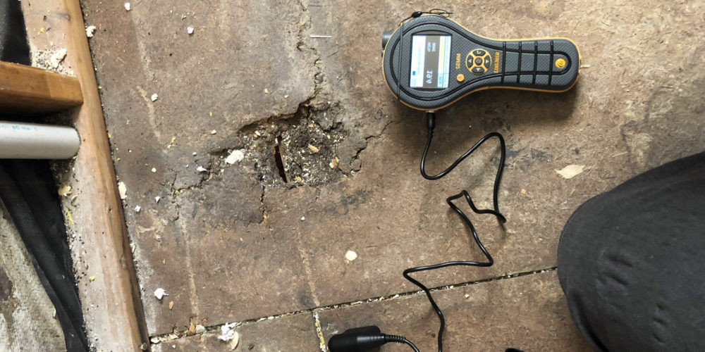 Restoration tool on ground beside knee