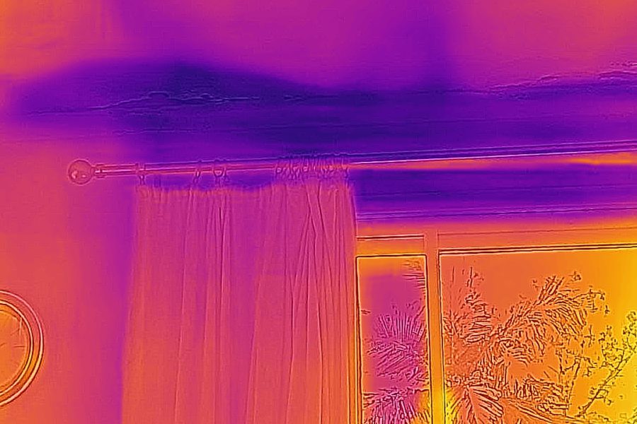 Infrared imaging for restoration services