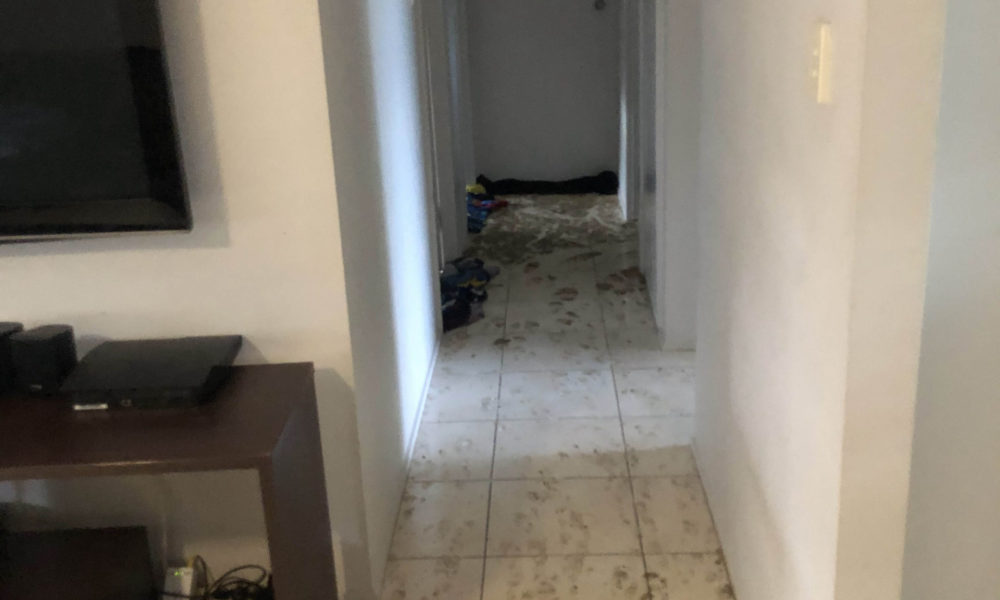 Sewerage in hallway